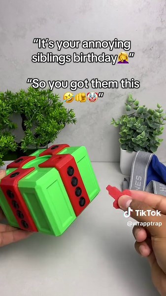 Creative Birthday Gifts for Annoying Siblings