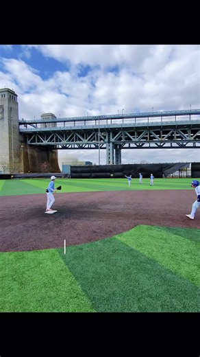 Baseball Close Calls: Your Umpire Decision