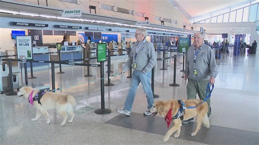 Therapy dogs comforting travelers amid travel rush