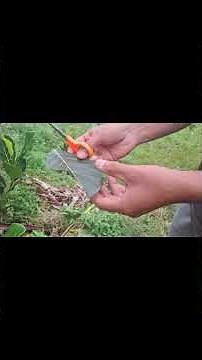 Natural wind wheel, with the jackfruit leaves, #umbrellaatops
