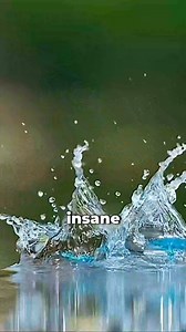 Are people really doing this to bird | Particle project