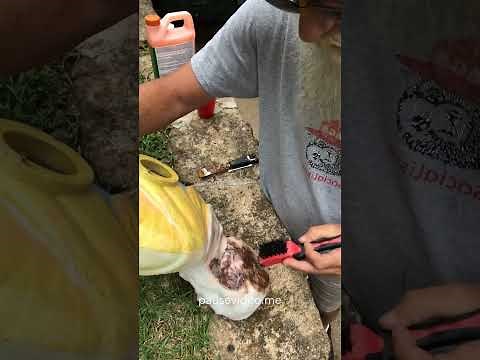 How to repaint your blow mold part 1