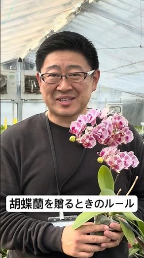胡蝶蘭を贈るときのルール #orchid #胡蝶蘭 #母の日