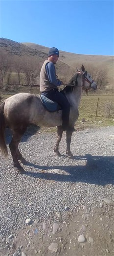 Kırgızistandan Reis Sedat Pekere Selam var