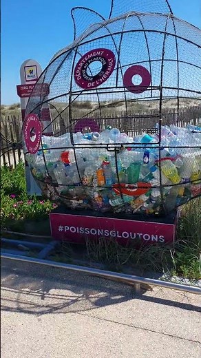 #POISSONSGLOUTONS #beach Marseillan Plage #france