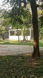 17K views · 175 reactions | Wow Scenery on Reels | Facebook