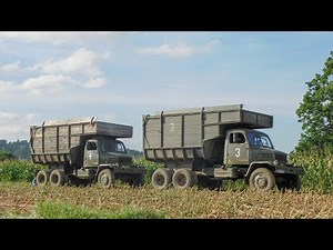 4x Praga V3S & Claas Jaguar 850 - Siláže 2023 / Silage 2023