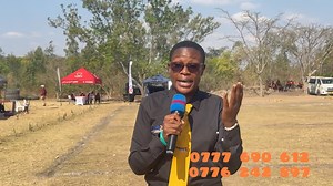 518K views · 35K reactions | Train up a child in the way he should go ,even when he is old he will not depart from it ..Matrix Zw Matrix Private Investigations & Security Services | Royal Mint | Facebook