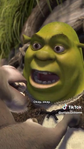 Shrek Donkey “I’m Making Waffles” Quote & Can I Stay With You