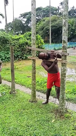 Exploring the Latest Tech Trends with Balli Bot Mogis