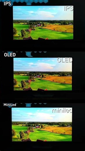 quick test: IPS vs OLED vs MiniLed #1440p #tech #hkcmonitor #monitor #shorts #fyp