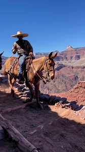 The trail crew at the Grand Canyon | Cross Country Equine