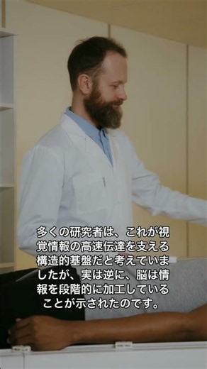 脳内光路を映すMRI、驚きの映像とは