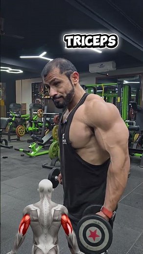 3 Arm Muscles | Biceps Triceps and Forearms 💯💪🏼 #arms