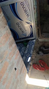 65K views · 976 reactions | Saniya Gopalganj on Reels | Facebook