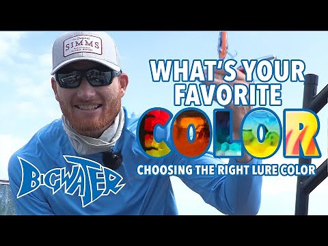 Choosing The Best Color For Walleye Fishing Lures - Why Bait Color Matters (And Doesn't)