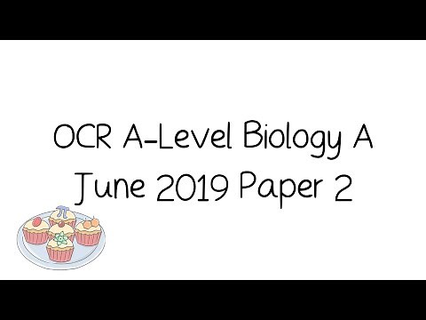 OCR A-Level A Biology June 2019 Paper 2 [Walkthrough and Tutorial]