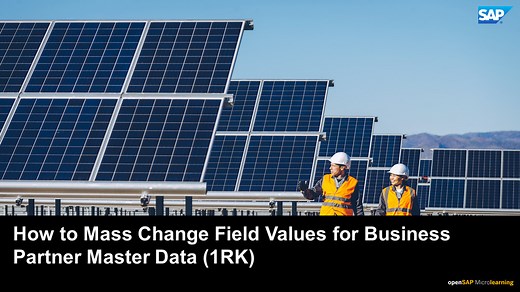 Changing Field Values in a Mass Process for Business Partner Mast
