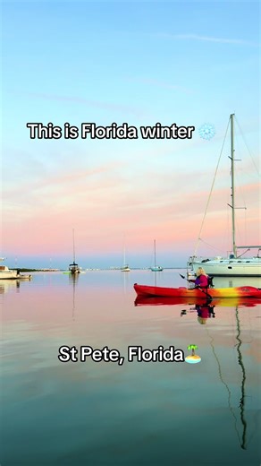 Winter evenings like this are why we love paddling here… and why dolphins and manatees love it too. #wanderingadventuresllc #manatees #fyp #adventure #stpete