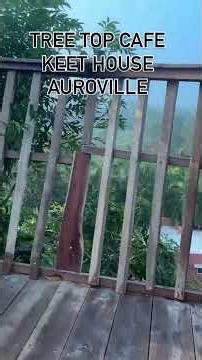 Innovation by filip of the treehouse community this is the most happening place in Auroville right