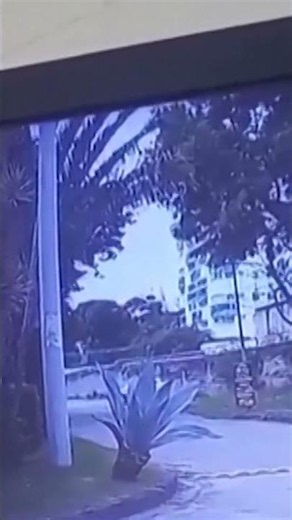 New footage captures deadly Oliver Tree helicopter crash