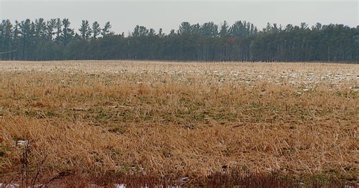 Developers eye Solon Township farmland for potential Data Center