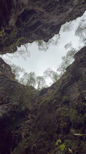 Cañón de la Murcielaguera, #Perote #Veracruz #México 🇲🇽 #hiking #mexico #nature #tavel #kurdish