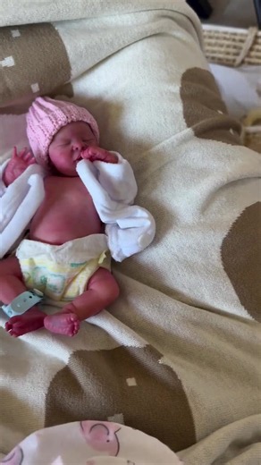 Adoption Journey: Building a Forever Family with Love