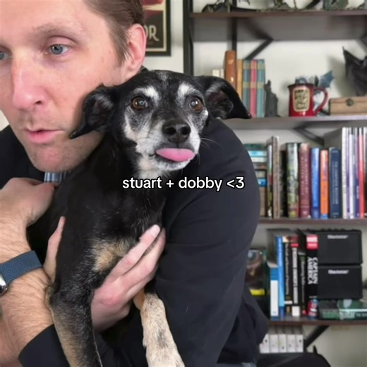 Remembering Dobby: A Tribute to Love and Music