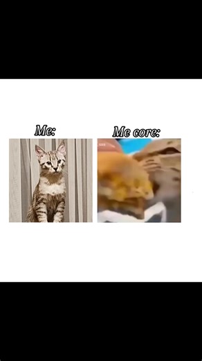 Akva (@akva340)’s videos with original sound - Akva