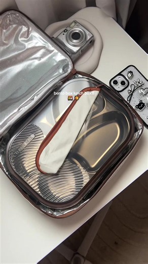 Bento Lunch Box Ideas for Office and School