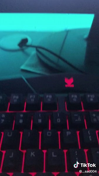 Motchuttamtrang trên TikTok