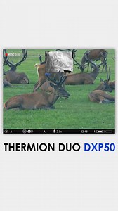 1.2K reactions | Some things are simply mesmerising to watch:...