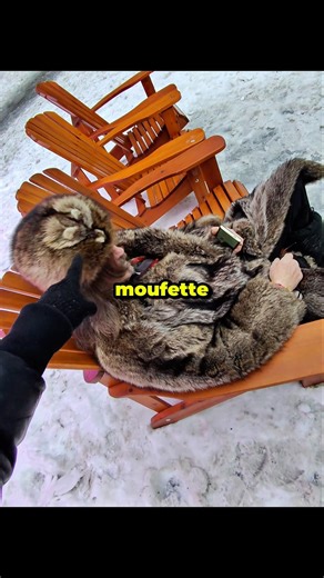 Voulez-vous un Québec Indépendant? #chrétiens #catholique