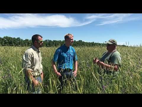 🌻 Gabe Brown’s Most Profitable Crop & Understanding Regenerative Agriculture