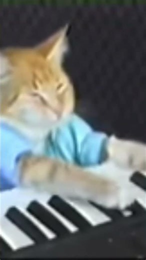 rip keyboard cat 1984-1987🥲