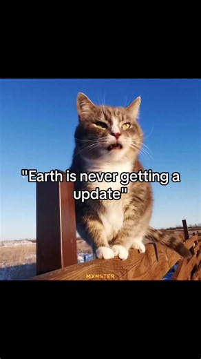 New earth update dropped😭💔 IB: @aditonya || song: INTERRUPTOR || #fyp #cat #tilcayo #leopardustilcayo #viral