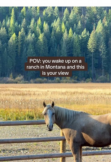 Experience Montana Ranch Healing and Serenity