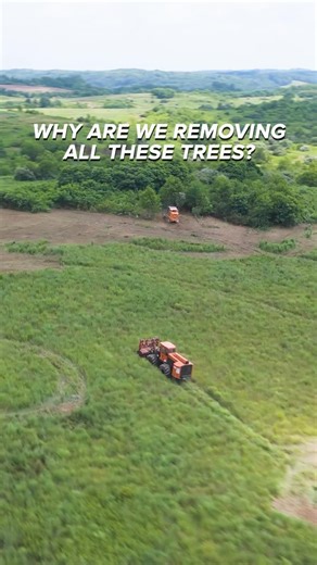 Using 2 Barko 930B tractors and 1 CMI C300 with mulching head attachments to mulch down woody invasive species at Woodbury Wildlife Area near Coshocton, OH! #heavyequipment #clearing #mulching #forestry #operator #treework #trees #arborist #arboriculture #operators #smoothoperator #heavyequipmentnation #heavyequipmentlife #heavyequipmentoperator #mulcher #mulch #treeremoval #invasive #invasivespecies #barko #tractor #cmi #cmic300 #arborists #arboristlife #arblife #horticulture #treecutting #tree
