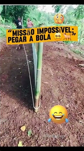 Trying to catch the ball for 84 years…🤣🤣🤣