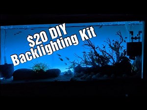 DIY Aquarium Backlighting - Aquarium Background Light Kit