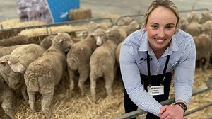 Tackling carbon emissions through sheep breeding