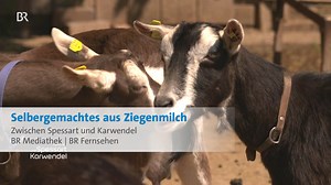 In Salgen im Mindeltal versorgt sich die Familie Hämmerle mit vielem selbst. Unter anderem hält sie sich seltene Thüringer Waldziegen - und macht aus der Milch Seife oder Frischkäse mit Wildkräutern. 🧑‍🌾🐐🌿 2019 war Paul Enghofer zu Besuch - und durfte mit in die Töpfe schauen. ► Mehr aus der Reihe "Zwischen Spessart und Karwendel" jetzt in der BR Mediathek anschauen: https://www.br.de/mediathek/sendung/zwischen-spessart-und-karwendel-av:584f4c143b467900117bf06a ► Im BR Fernsehen immer samsta