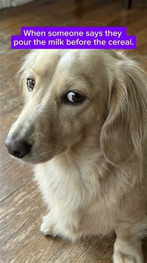 When he says he's "just friends" with her 👀 #sideeye #sus