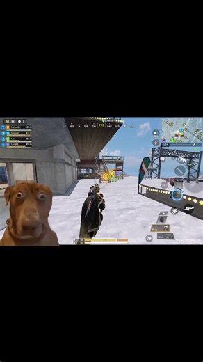 Defender Class Strategies in Call of Duty: Mobile