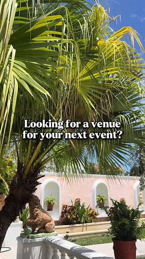 Welcome to LE CHÂTEAU✨ 🇧🇸 The newest venue in Nassau, Bahamas, Available for all events & celebrations! 📍: Located next to Waterloo, Across from Montague Beach Join Us & turn your event into an unforgettable experience! #thebahamas #hostevents #bahamiantiktok #trending #fp #nassau #venue #venuelocation #weddingvenue #birthdayparty #events #luxuryvenue #weddings #bahamasevents #242 #newprovidence #smallbusiness