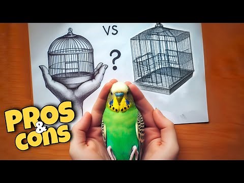 Bird Cage Types: Which One is Right for Your Pet?