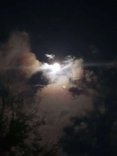 🌸🌕Luna rosa 1 al 3 de Abril... No cambia de color… cambia la energía. La luna rosa marca el florecimiento y el inicio de nuevos ciclos. Tiempo de soltar lo viejo… y renacer. #LunaRosa #MagiaLunar #Ciclos #Energía #witch