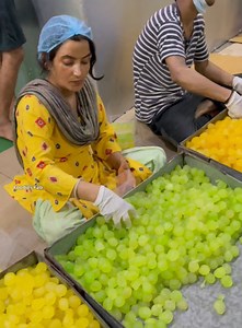 38K views · 135 reactions | Panchhi petha making in factory | Foodies Fab | Facebook