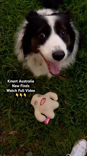 ❤️ New at Kmart Australia